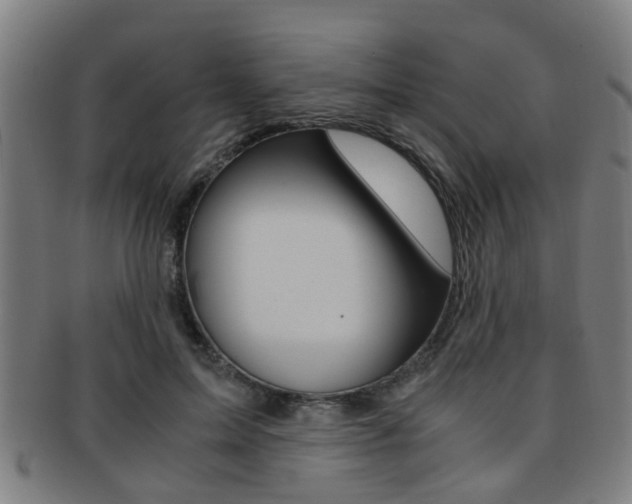 X0000091880599200709051016