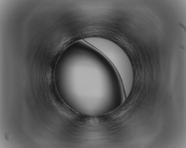 X0000091880600200709051016