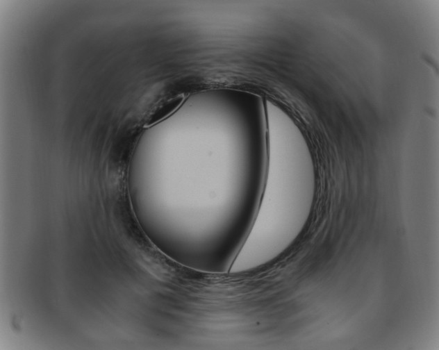 X0000091880601200709051016