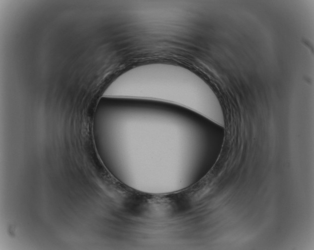 X0000091880603200709051016