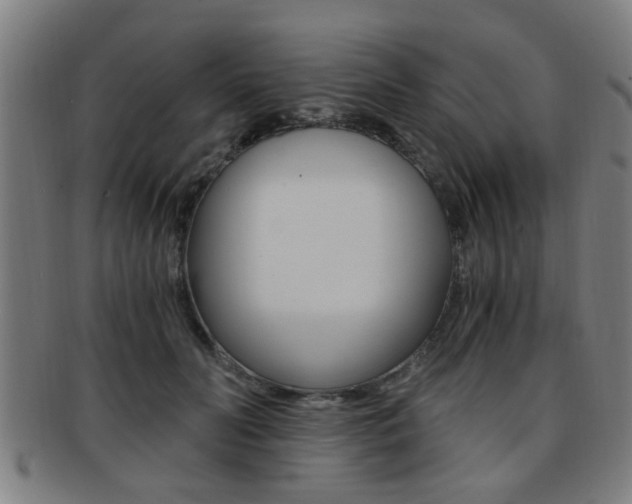 X0000091880606200709051016
