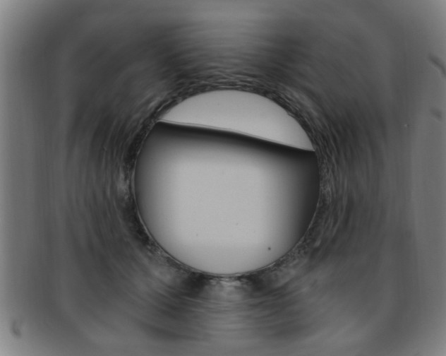 X0000091880607200709051016