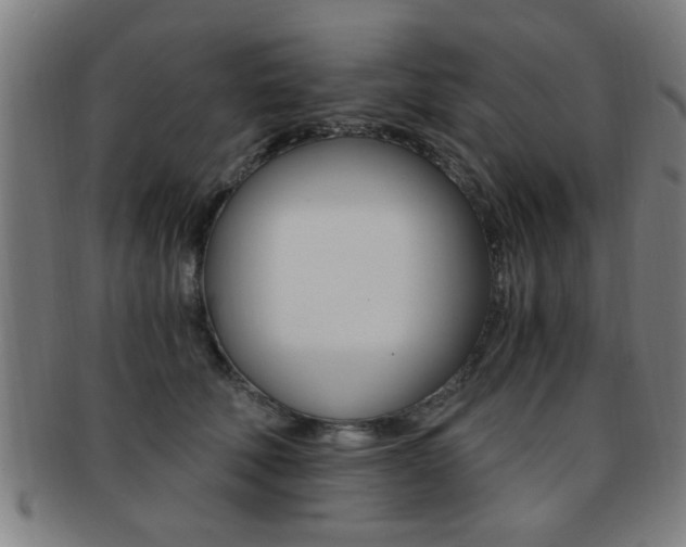 X0000091880610200709051016