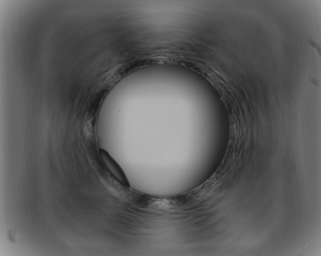 X0000091880611200709051016
