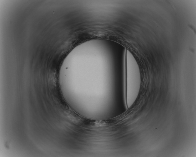 X0000091880612200709051016