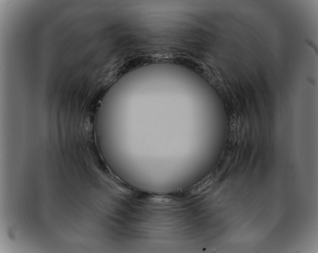 X0000091880614200709051016