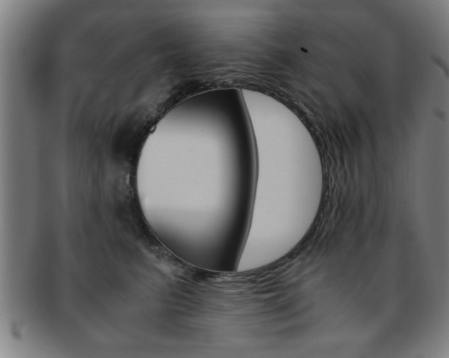 X0000091880615200709051016