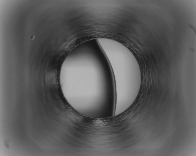 X0000091880616200709051016