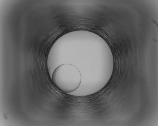 X0000091880617200709051016