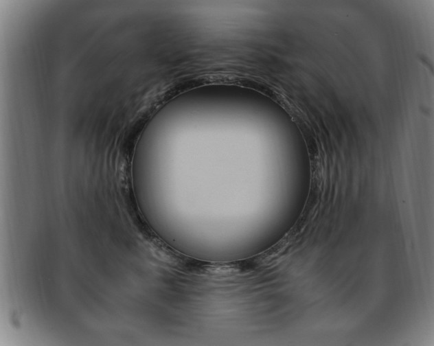 X0000091880619200709051016