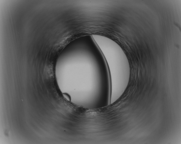X0000091880620200709051016