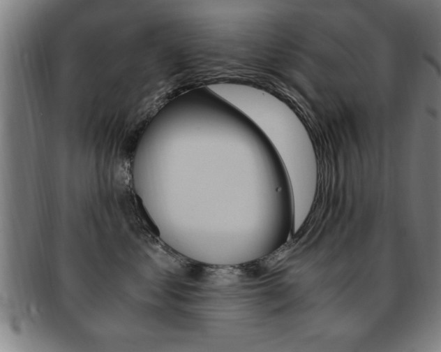 X0000091880621200709051016
