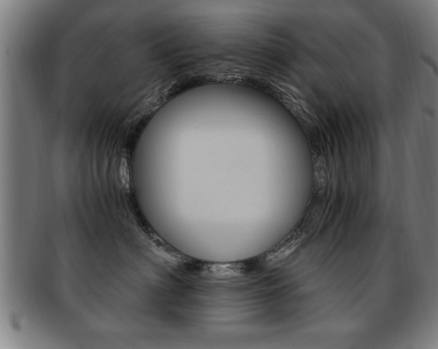 X0000091880622200709051016