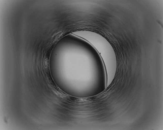 X0000091880623200709051016