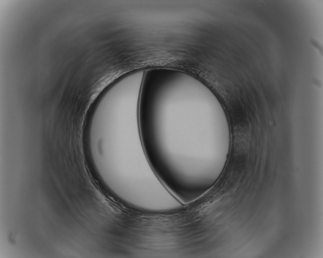X0000091880626200709051015