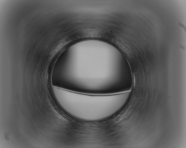 X0000091880627200709051015