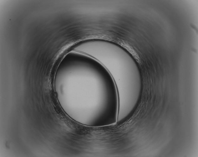 X0000091880628200709051015