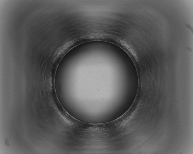 X0000091880633200709051015