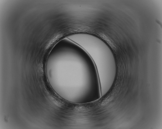 X0000091880634200709051015