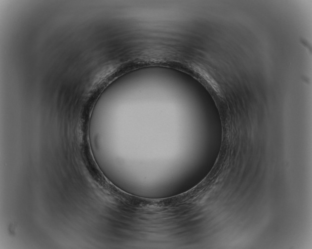 X0000091880635200709051015