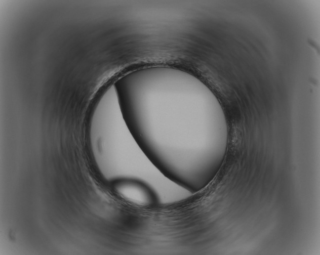 X0000091880636200709051015