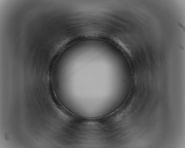X0000091880637200709051015