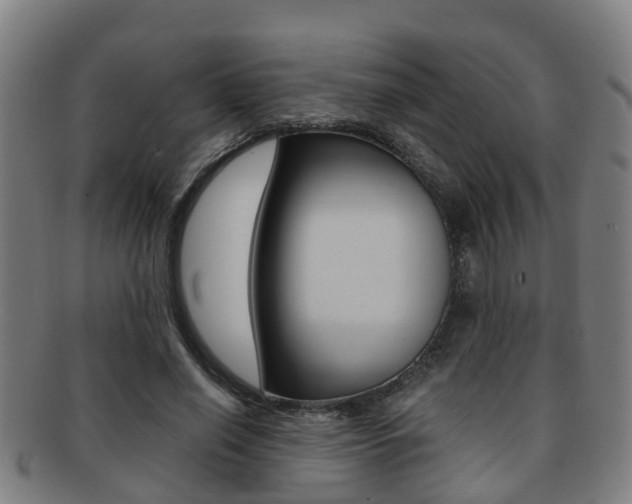 X0000091880638200709051015