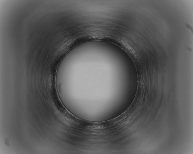 X0000091880639200709051015