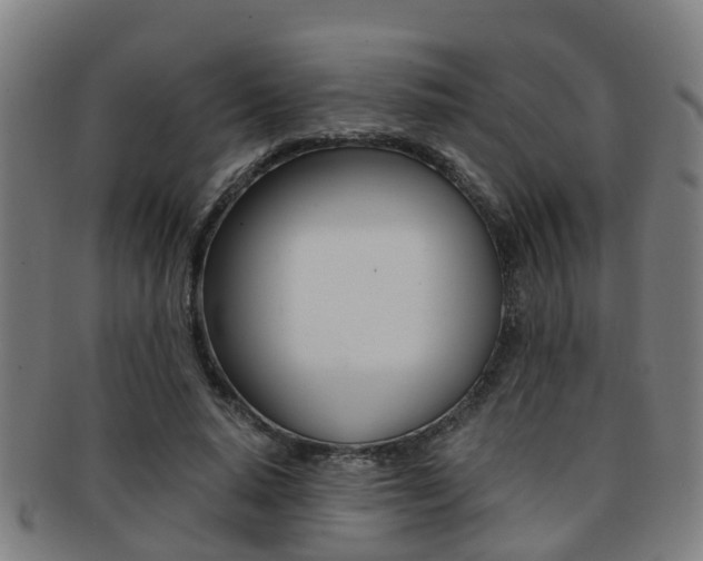 X0000091880640200709051015