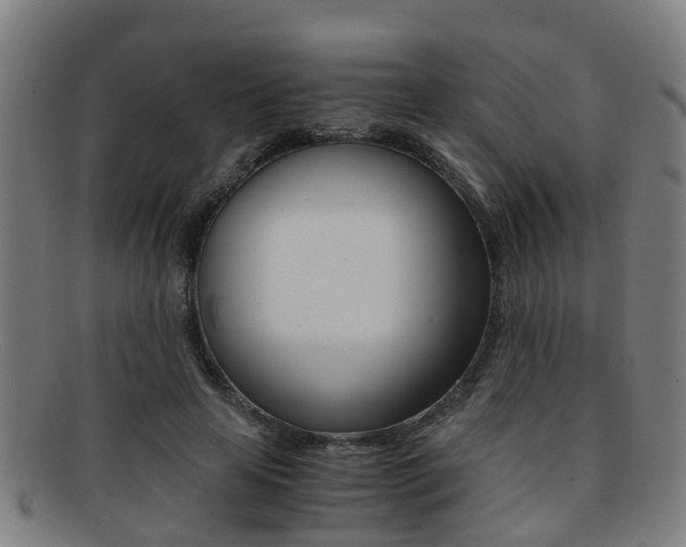 X0000091880641200709051015