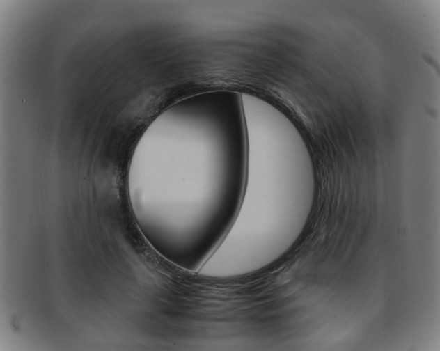 X0000091880643200709051015