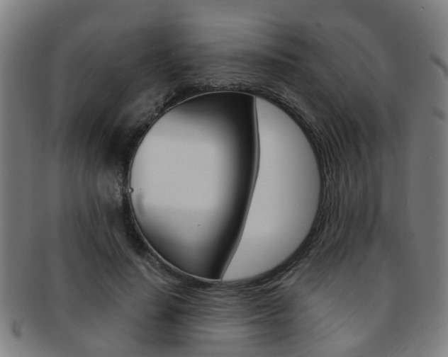 X0000091880644200709051015