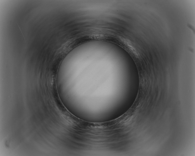 X0000091880645200709051015