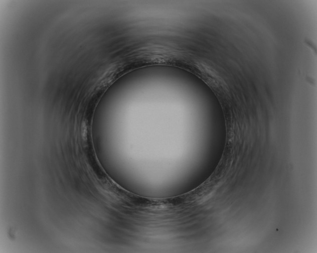 X0000091880646200709051015