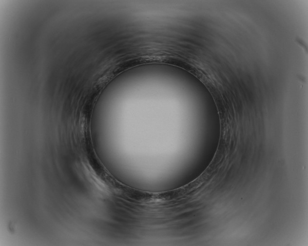 X0000091880647200709051015