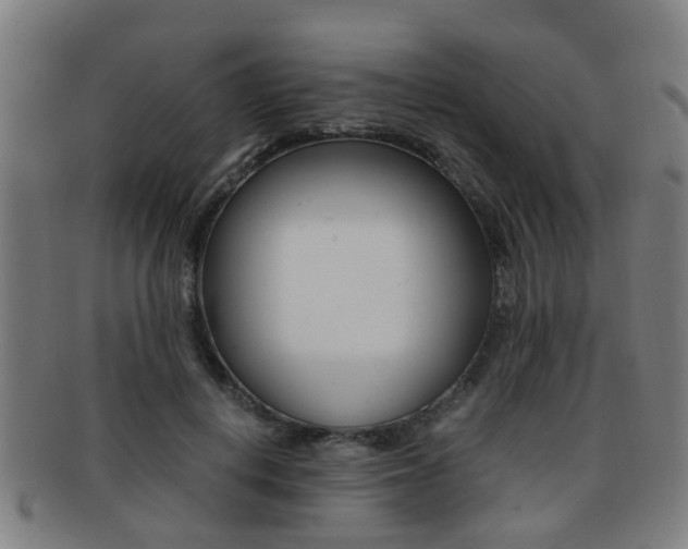 X0000091880648200709051015