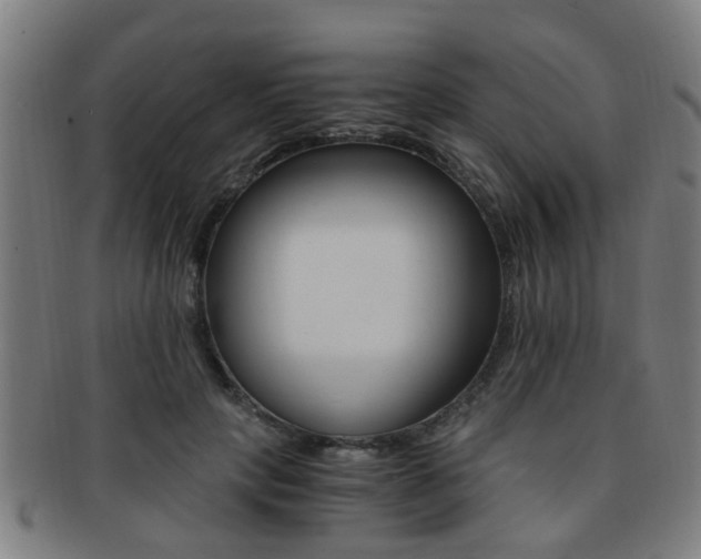 X0000091880649200709051015