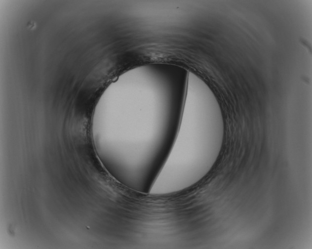 X0000091880650200709051015
