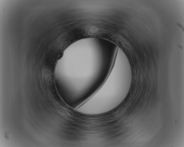 X0000091880653200709051015