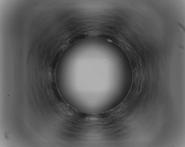 X0000091880655200709051015