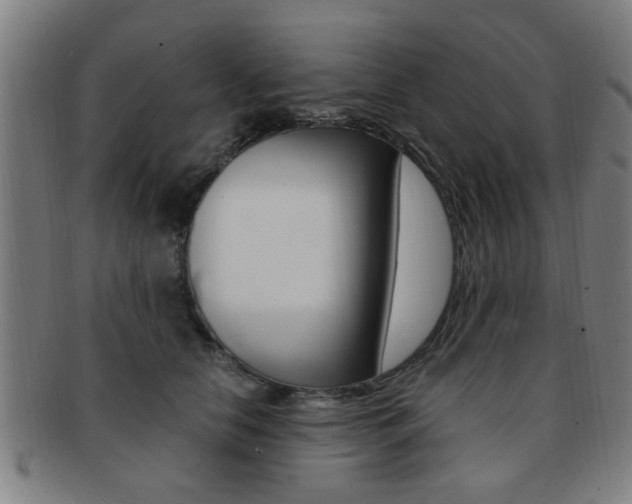 X0000091880658200709051015