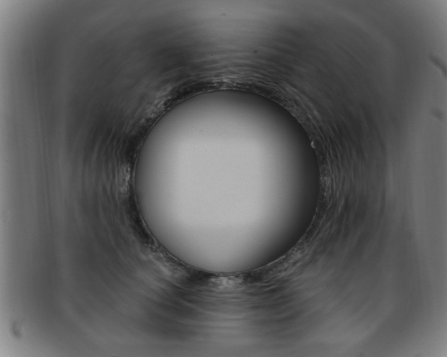 X0000091880660200709051015