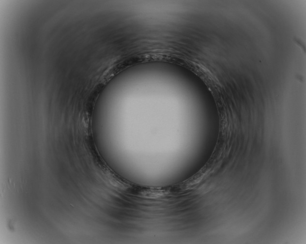 X0000091880661200709051015
