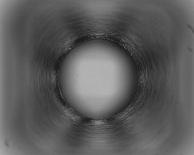 X0000091880662200709051015