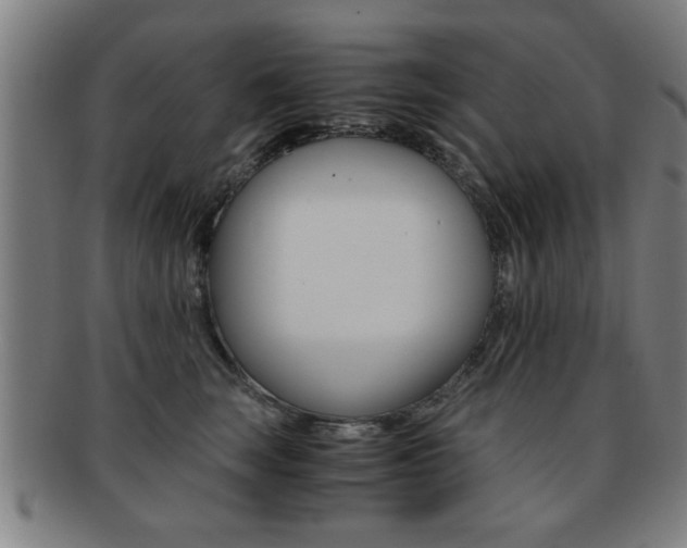 X0000091880663200709051015