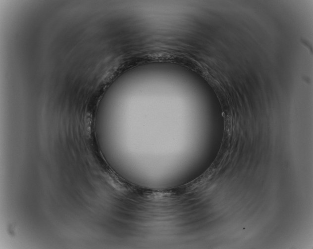 X0000091880664200709051016