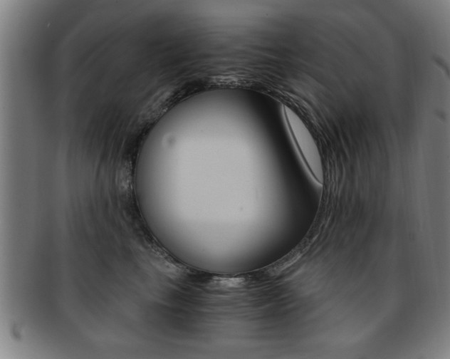 X0000091880665200709051016
