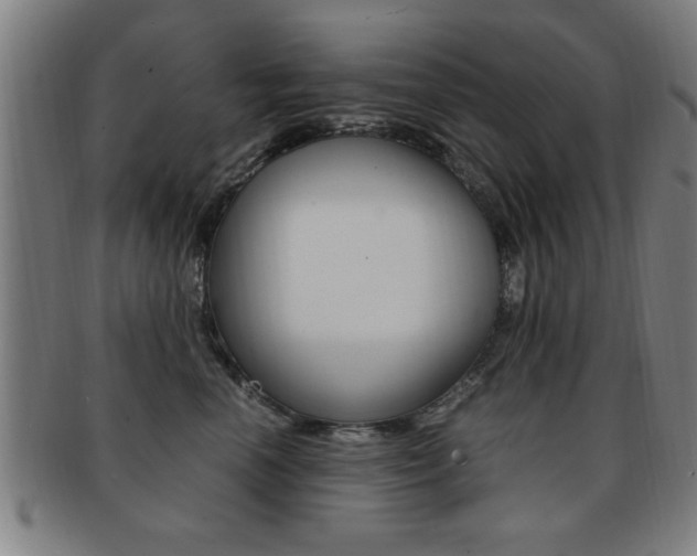 X0000091880666200709051016