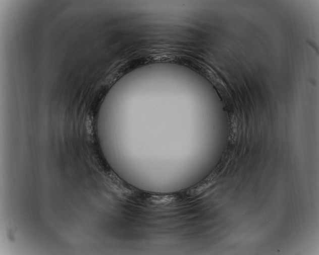 X0000091880667200709051016