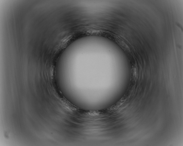X0000091880668200709051016